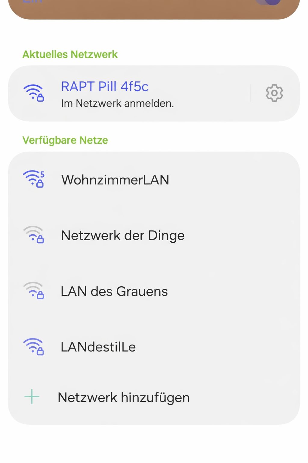 WLAN-Verbindung zur RAPT Pill herstellen