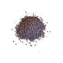 Röstgerste 1000-1300 EBC - 2,5kg Beuel