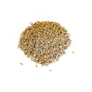 Buchenrauch-Gerstenmalz 4-8 EBC - 25kg Sack